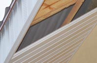 rated The Ridges soffit repair companies